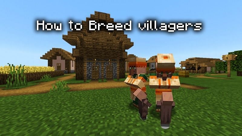 Villagers/Minecraft Game Screenshot