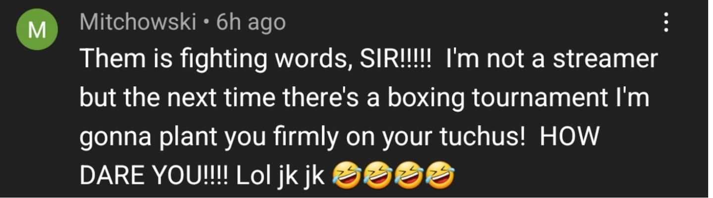 A YouTube commenter found the whole thing hilarious but still challenged the YouTuber to a boxing match (Image via YouTube)