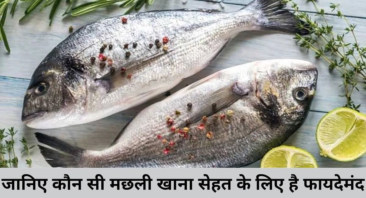जानिए कौन सी मछली खाना सेहत के लिए है फायदेमंद(फोटो-Sportskeeda hindi)
