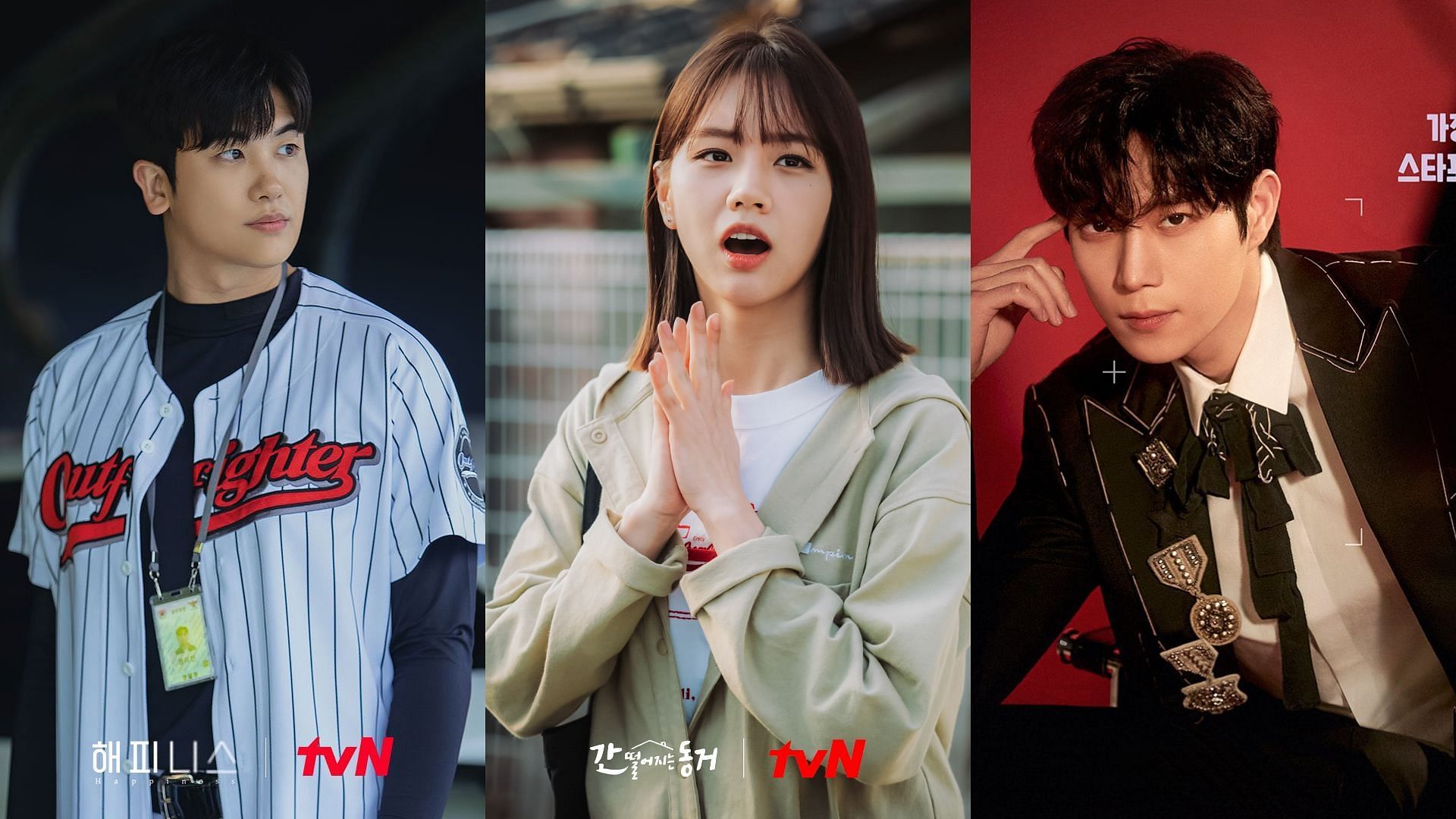 Park Hyung-sik, Kim Young-dae, Girl&#039;s Day Hyeri will present at The Blue Dragon Series Awards (Image via tvN)