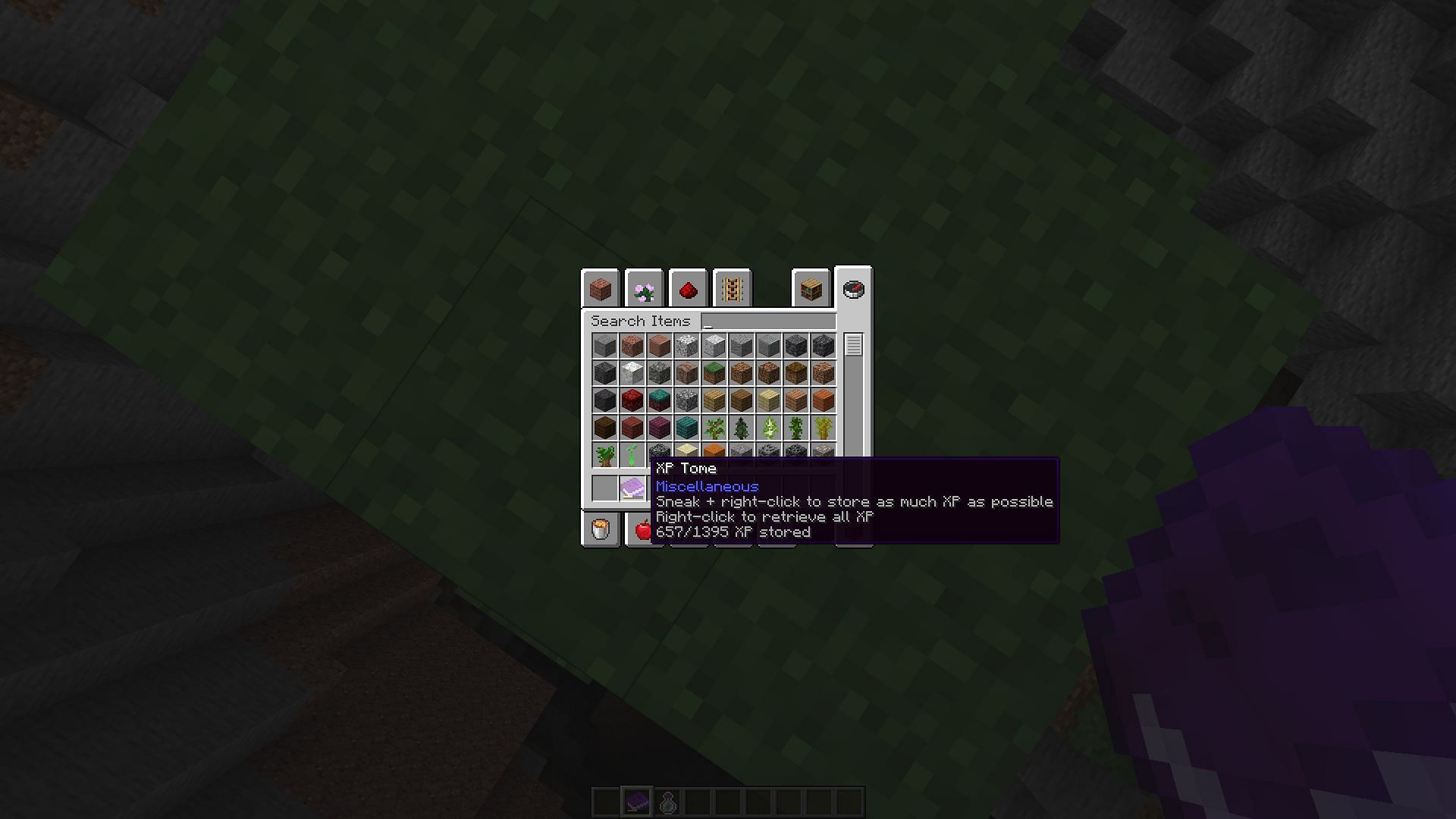 A partially filled XP Tome (Image via Minecraft)