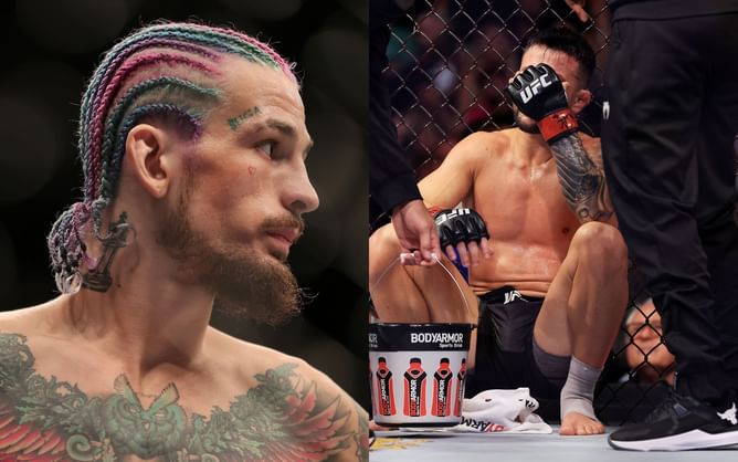 "He took that as an opportunity" - Sean O'Malley analyzes fight sequence from Pedro Munhoz clash at UFC 276