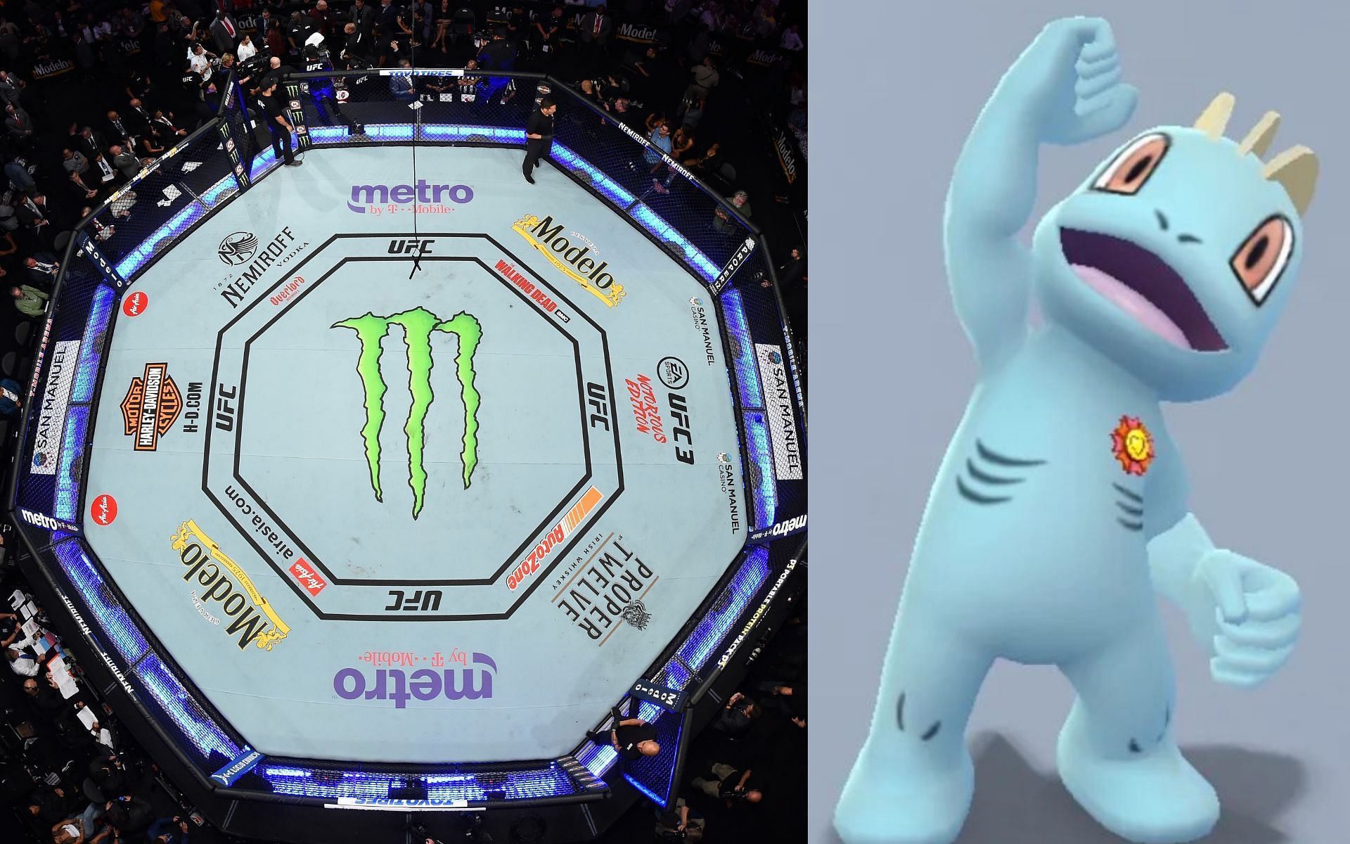 UFC Octagon (L)  Machop (R) [Images courtesy of UFC.com &amp; @chfrankcgn on Instagram]