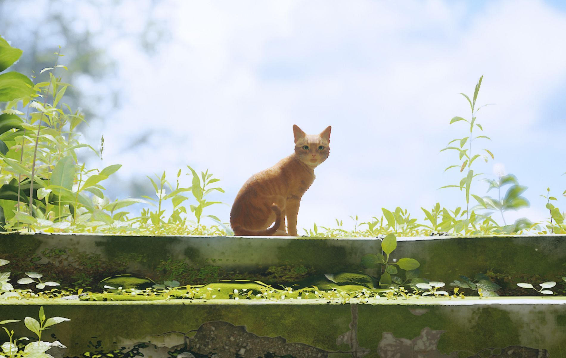 The feline protagonist of the indie hit (Image via BlueTwelve Studio)