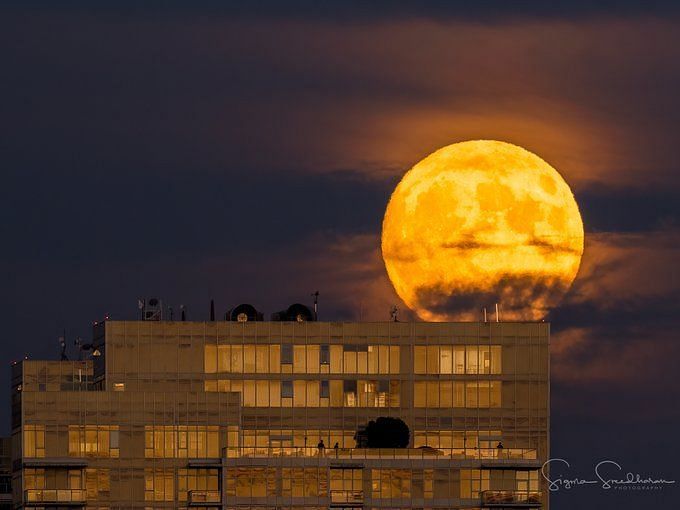 Why is the moon so big tonight? Reason explored as Super Buck Moon