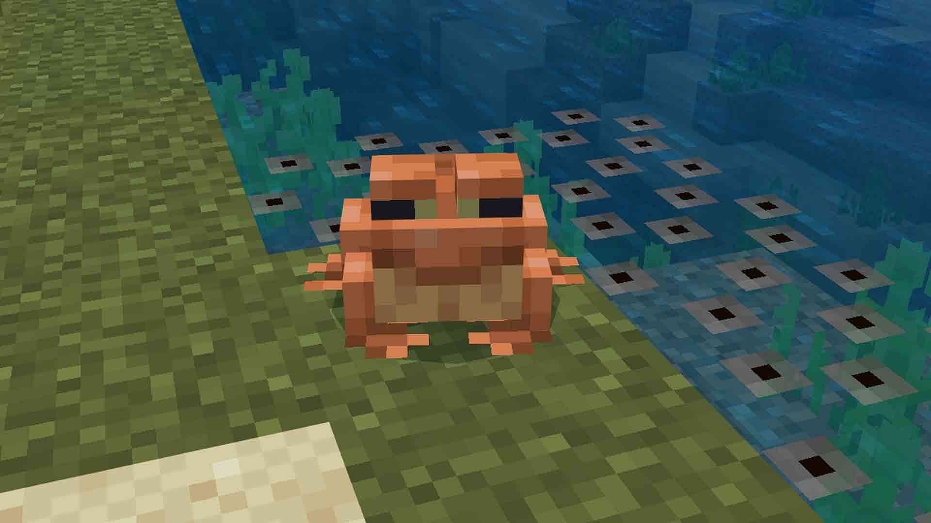 A frog in Minecraft 1.19 (Image via Mojang)