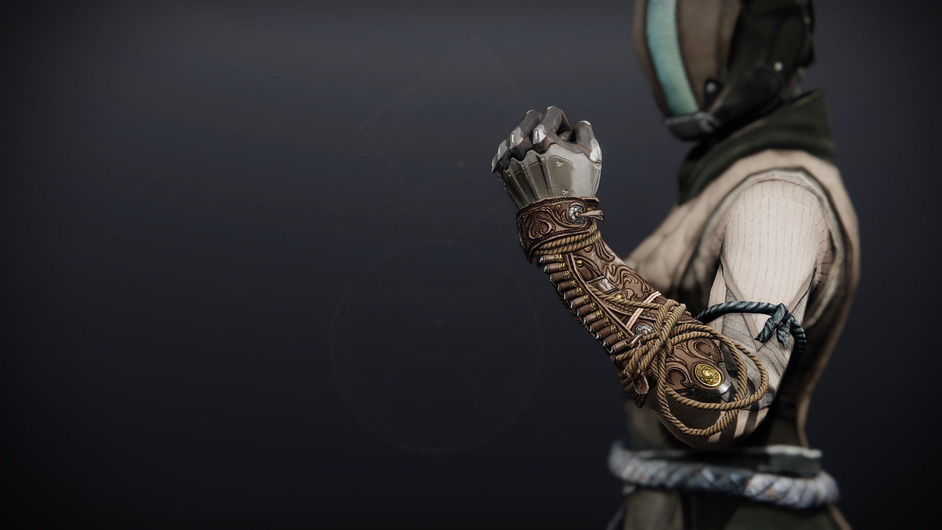 The Coiled Lasso Ornament for Ophidian Aspect (Image via Bungie)