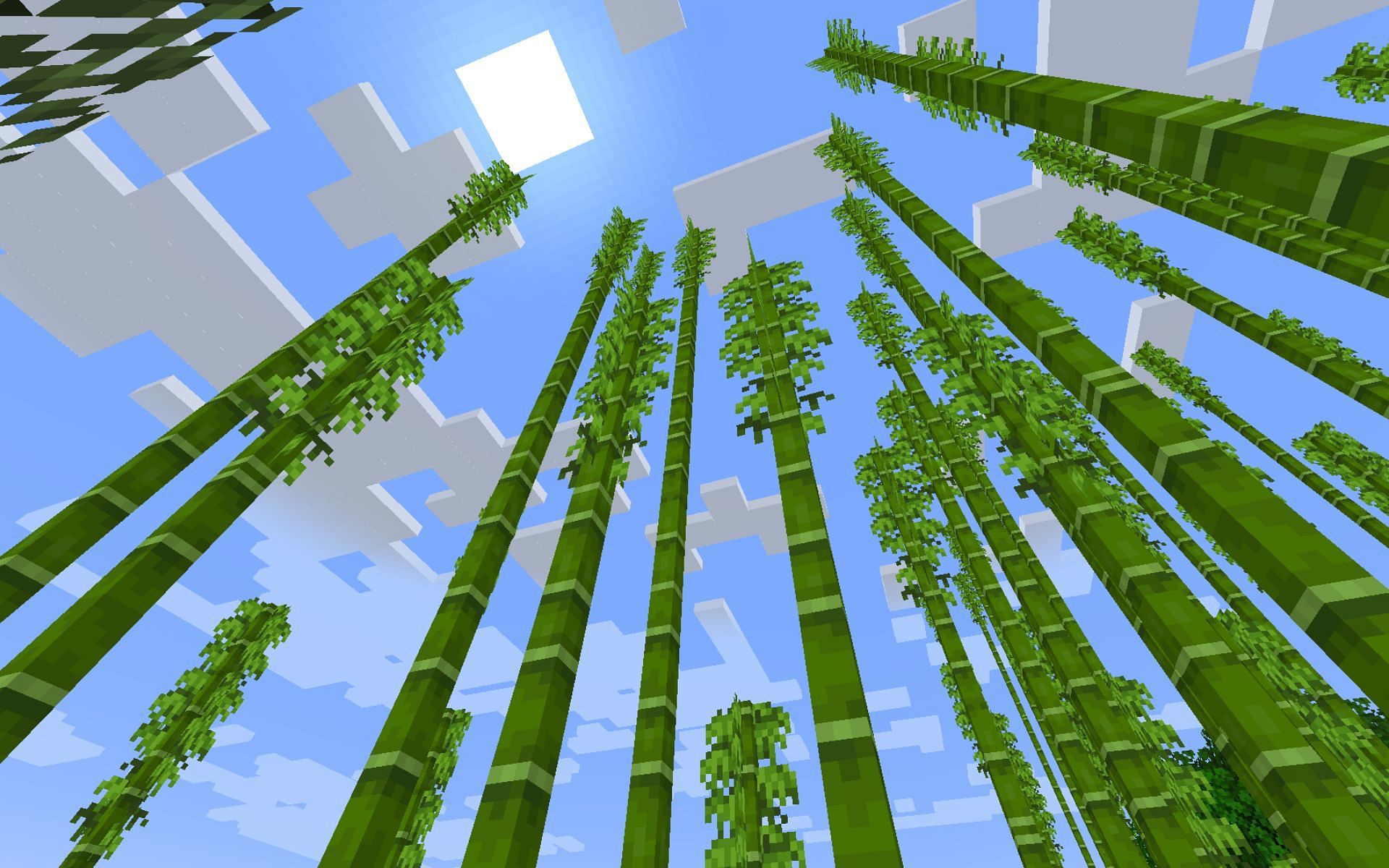 A bamboo jungle in Minecraft (Image via Mojang)
