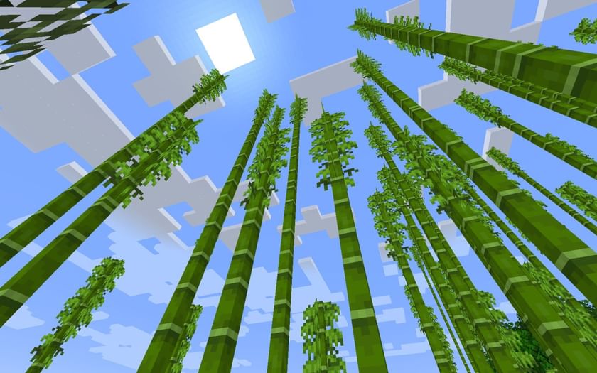 Minecraft How To Grow Bamboo