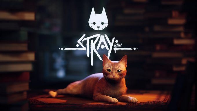 Will cyberpunk game "Stray" to Nintendo Switch? announced systems and previous trends
