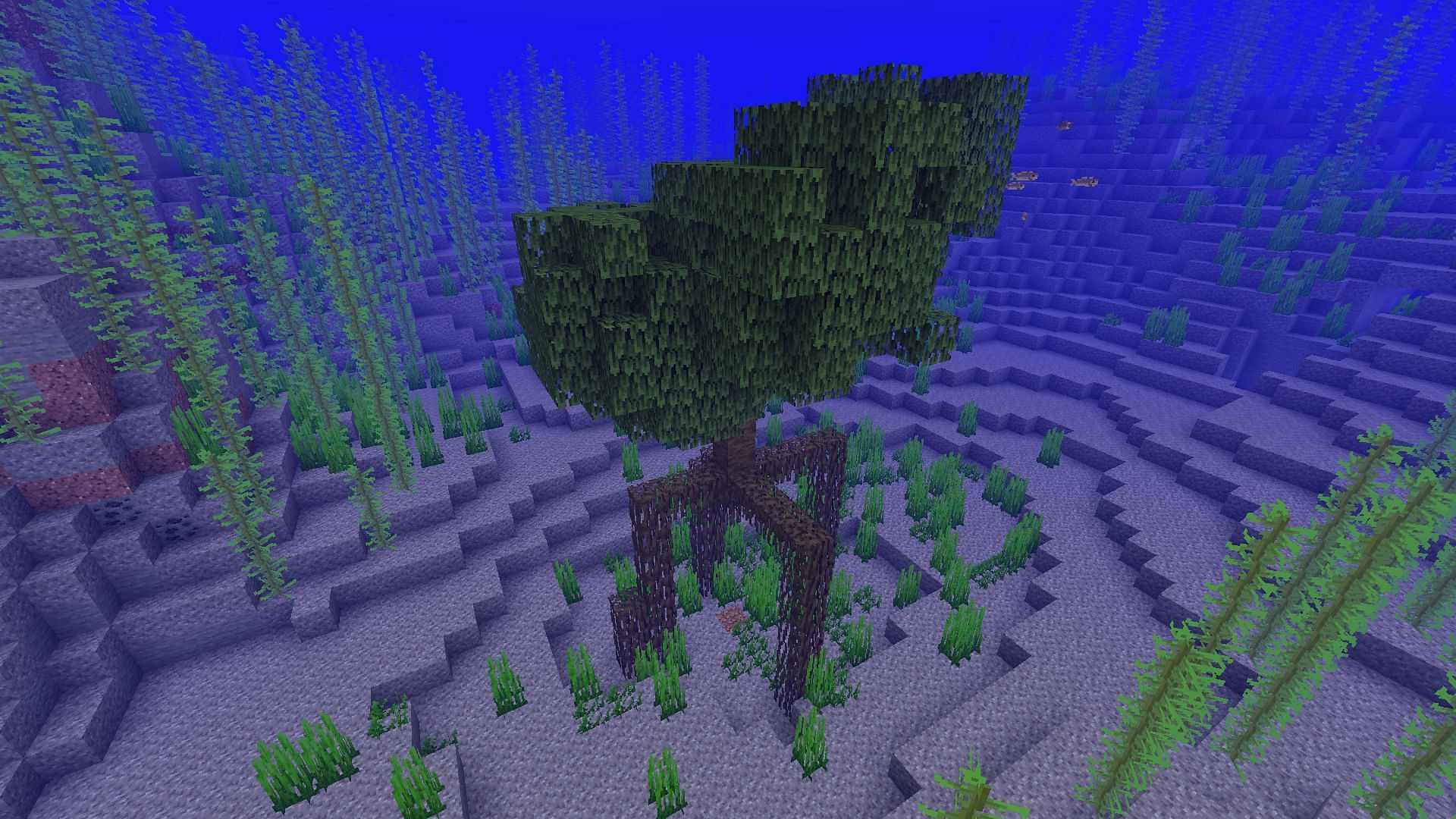 Mangrove tree grown entirely underwater (Image via Minecraft)