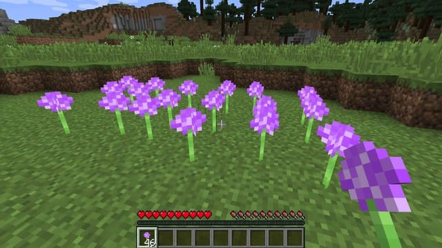 Allium in Minecraft