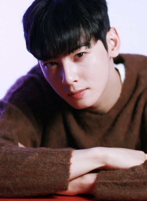 Cha Eun-woo reportedly set to join upcoming Hollywood film about K-pop