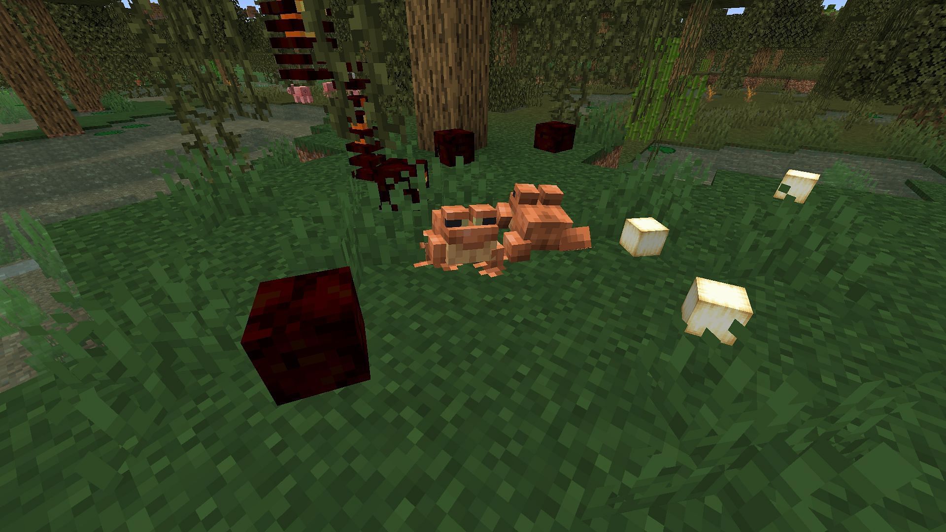 Orange frogs dropping Ochre froglight that is orange in color (Image via Mojang)