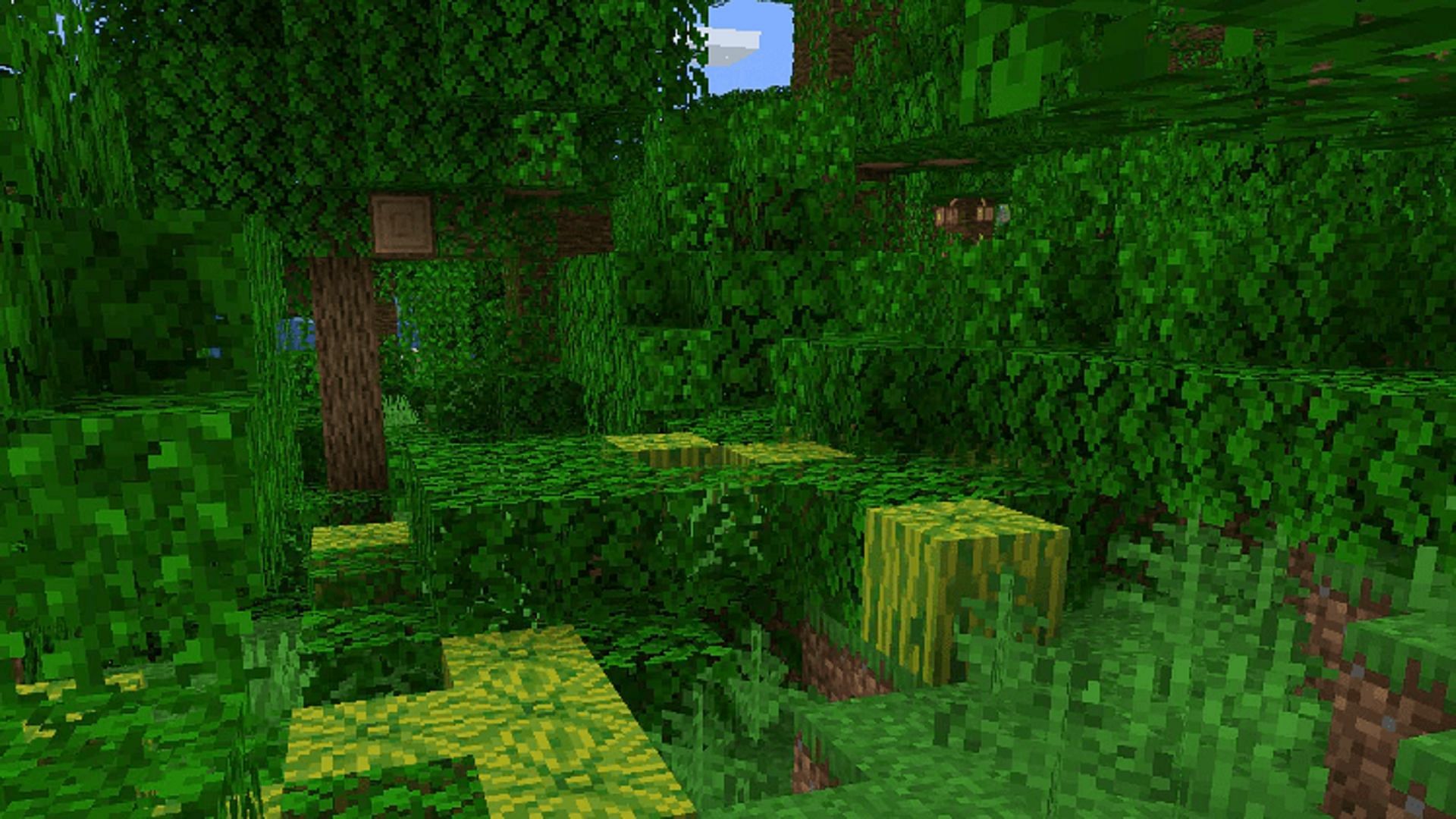 A jungle biome complete with melon blocks (Image via Mojang)