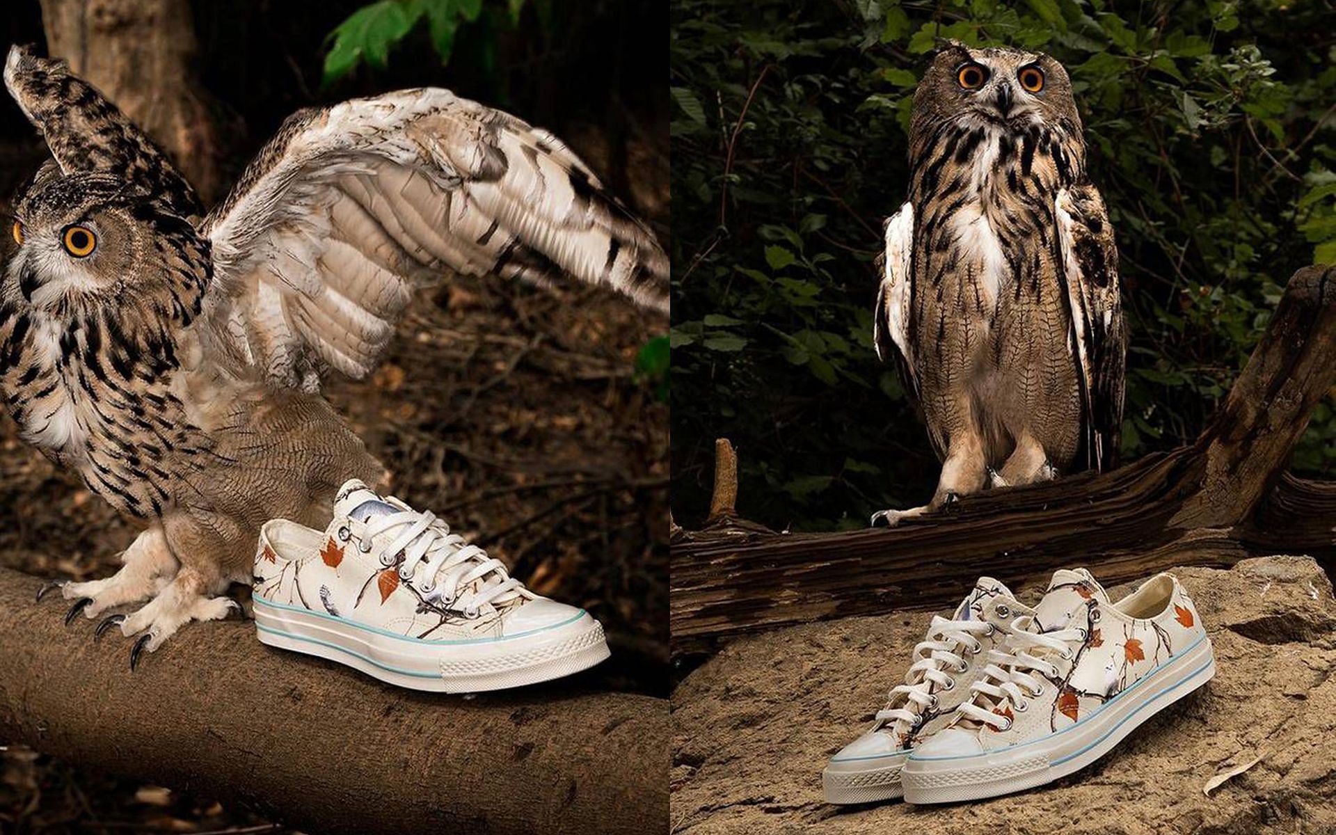 Tyler the Creator&#039;s GOLF WANG x Converse Chuck 70 Owl shoes (Image via Converse)