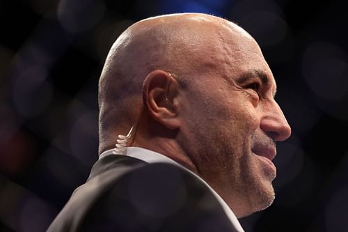 Rogan at UFC 276: Adesanya v Cannonier