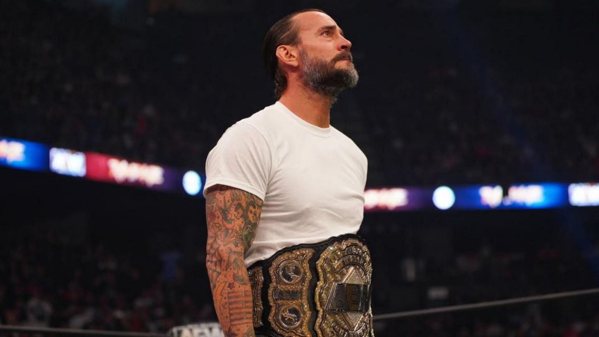 CM Punk won the world title not long before his injury