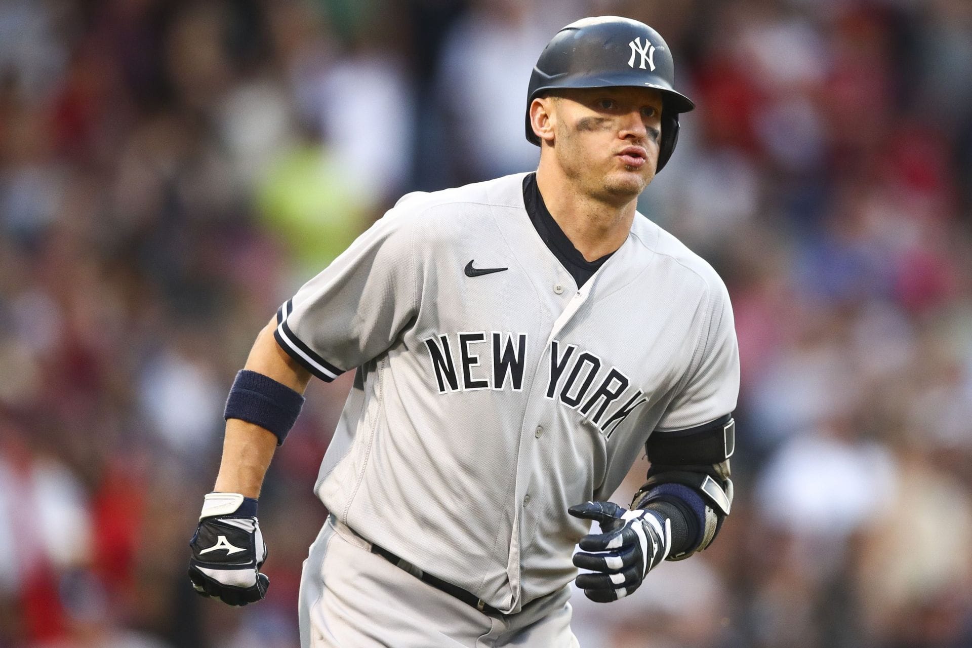 New York Yankees fans 