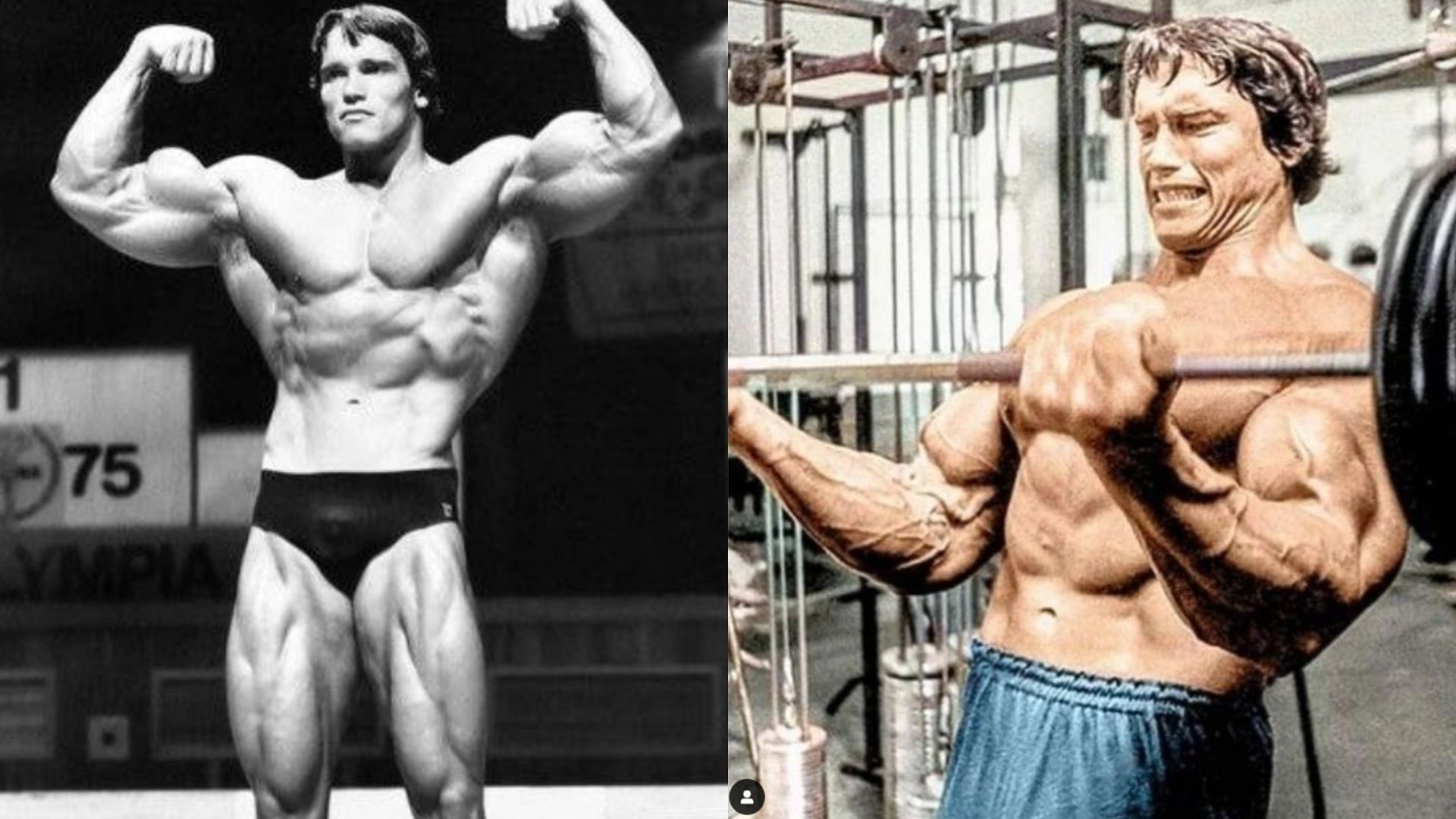 What Is Arnold Schwarzeneggers Arm Workout To Get Big And Strong Arms