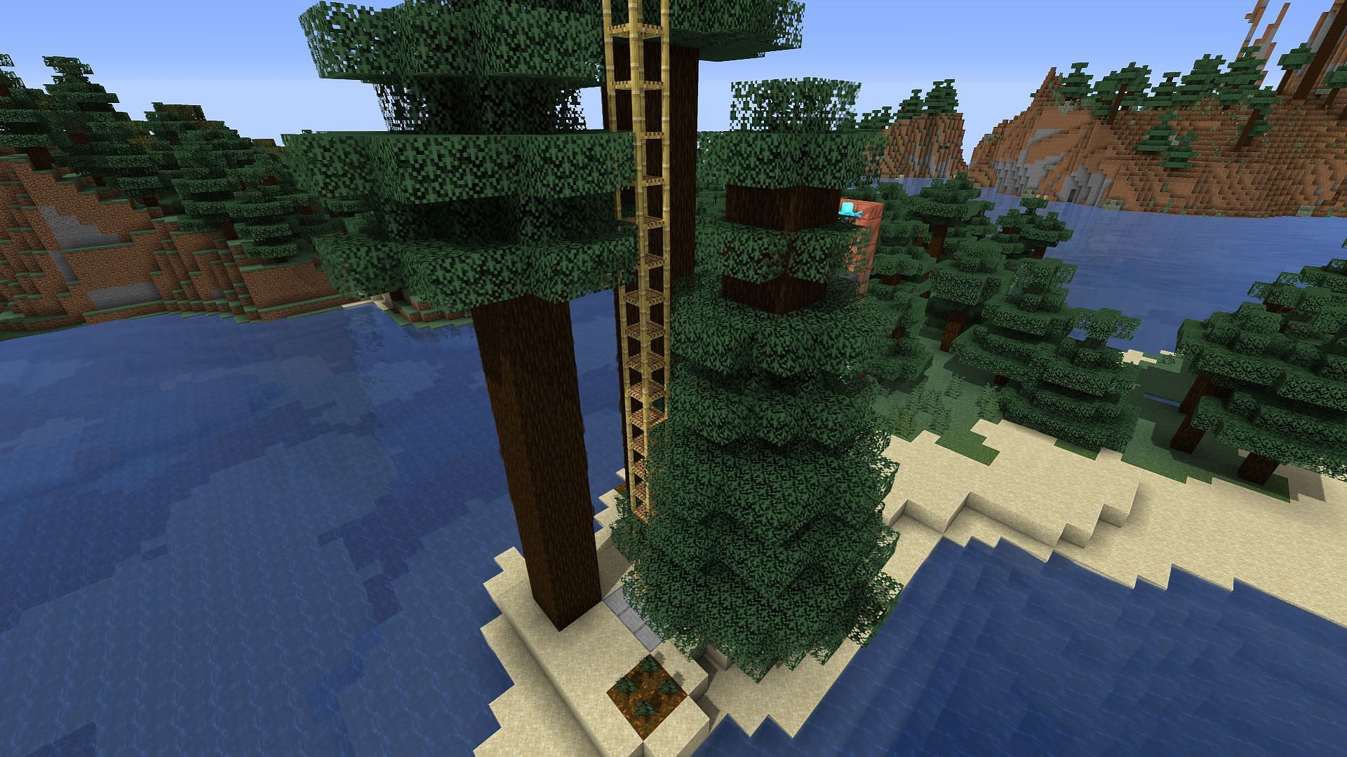 The completed tree farm, with allays and grown spruce trees (Image via Minecraft)