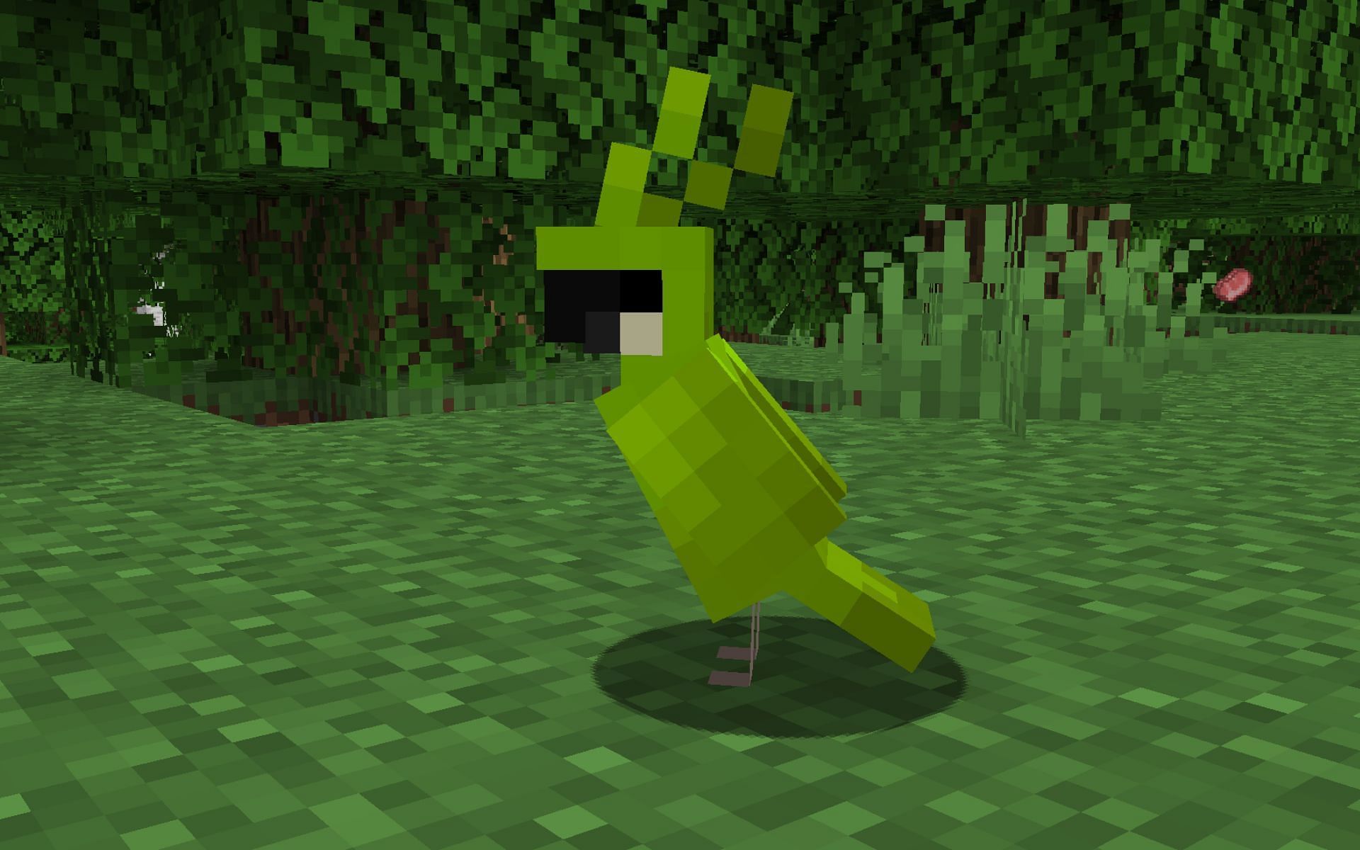 There are two ways to get parrots off the shoulder (Image via Minecraft 1.19 update)