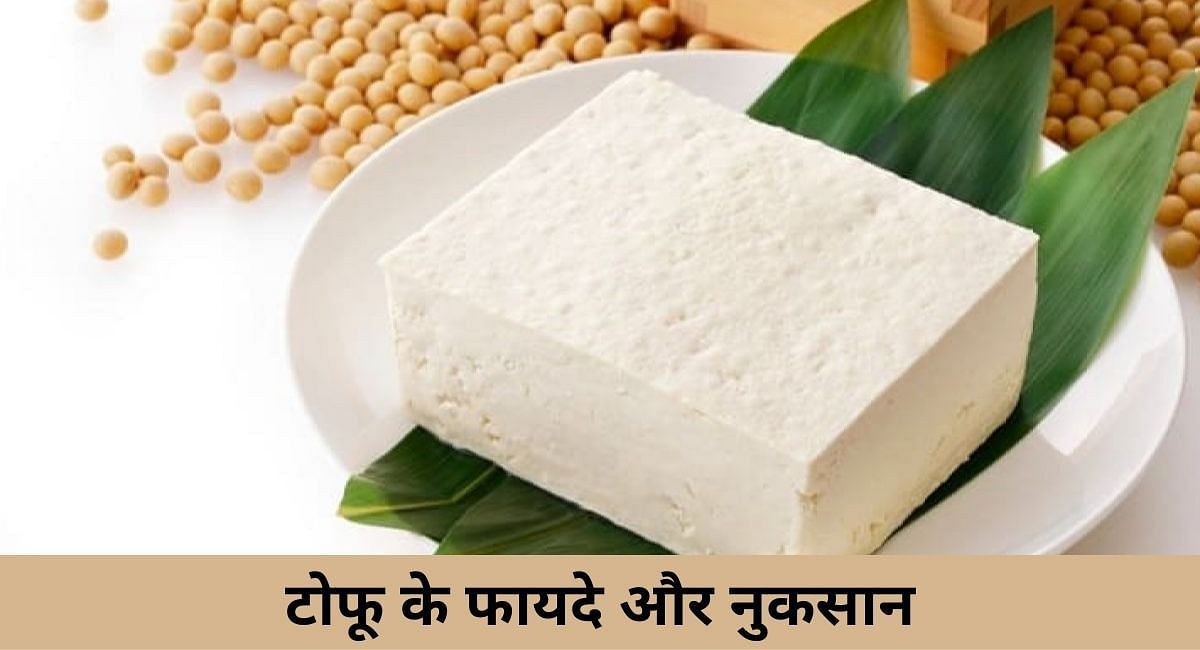 टोफू के फायदे और नुकसान(फोटो-Sportskeeda hindi)