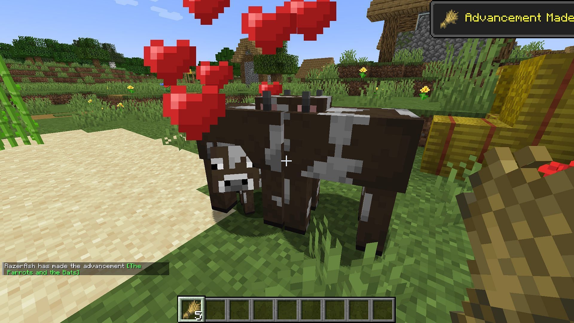 Baby cow spawns after breeding is complete (Image via Minecraft 1.19 update)