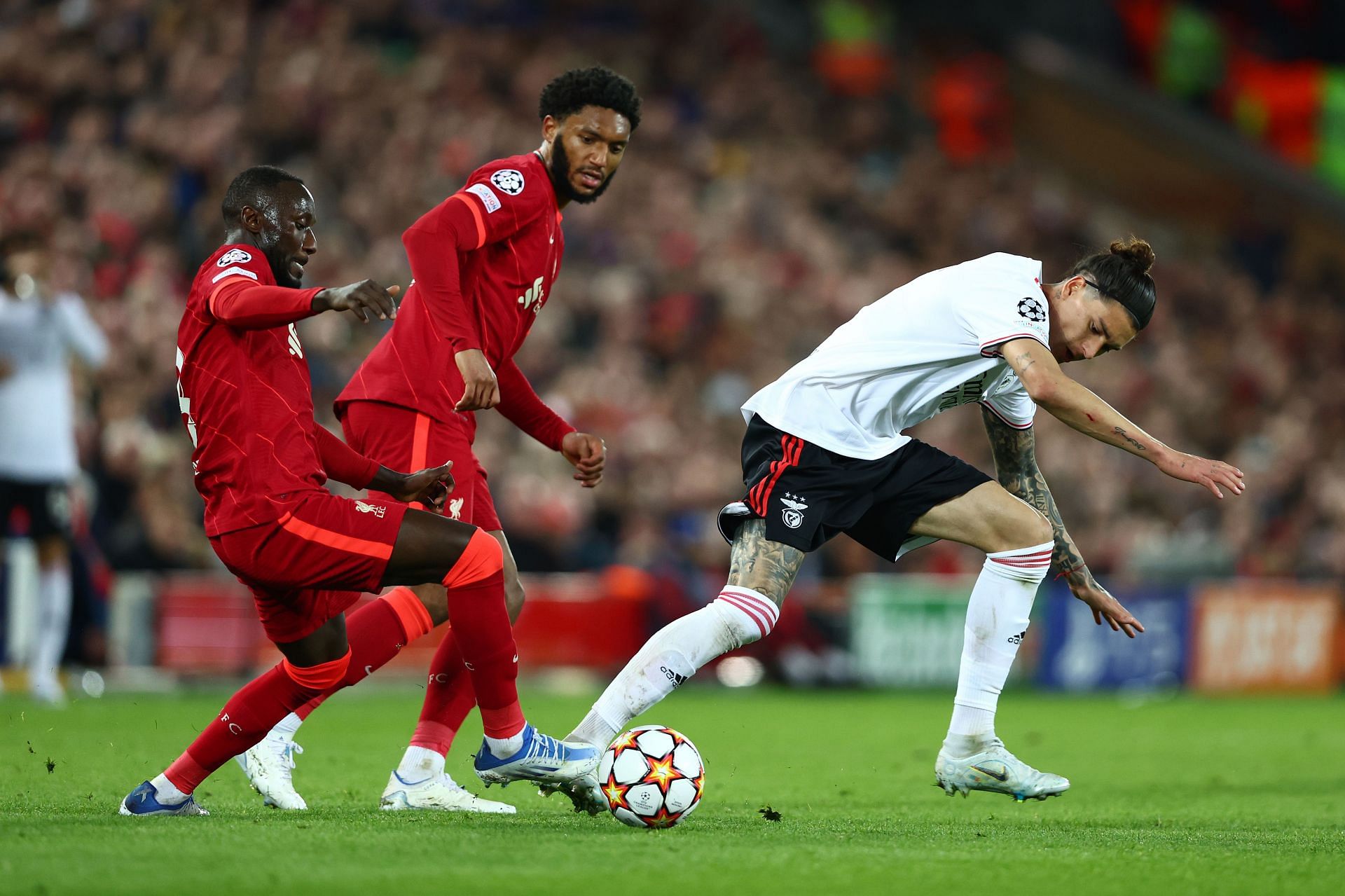 Liverpool FC v SL Benfica Quarter Final Leg Two - UEFA Champions League