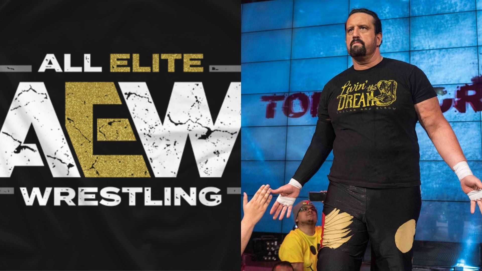 Tommy Dreamer has praised a top AEW star!