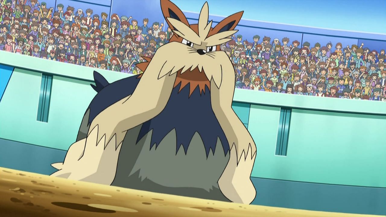 Stoutland as it appears in the anime (Image via The Pokemon Company)