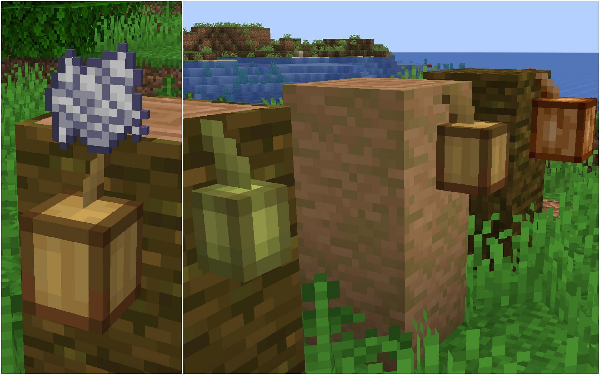 Bone meal can catalyst the growth of cocoa pods (Image via Minecraft 1.19 update)