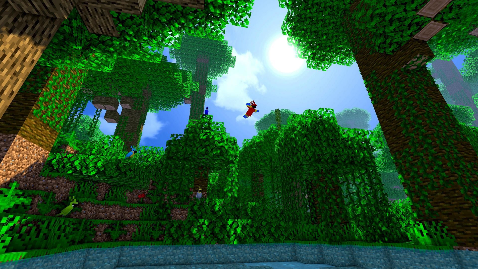 The sun peaks from a jungle biome canopy (Image via Mojang)