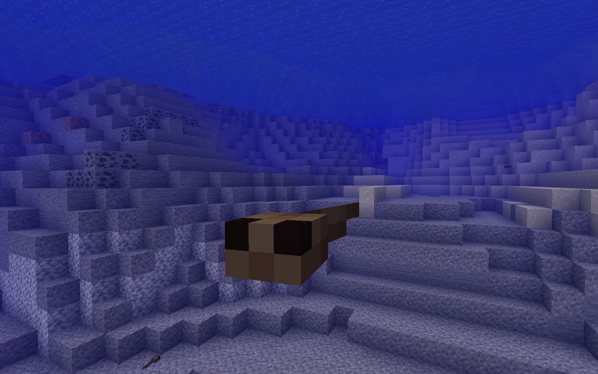 A tadpole in Minecraft (Image via Minecraft 1.19 update)