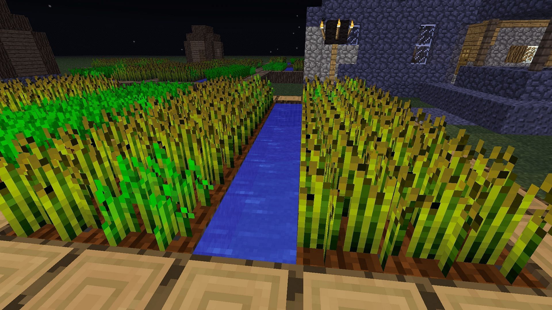 Wheat crops in Minecraft (Image via Mojang)