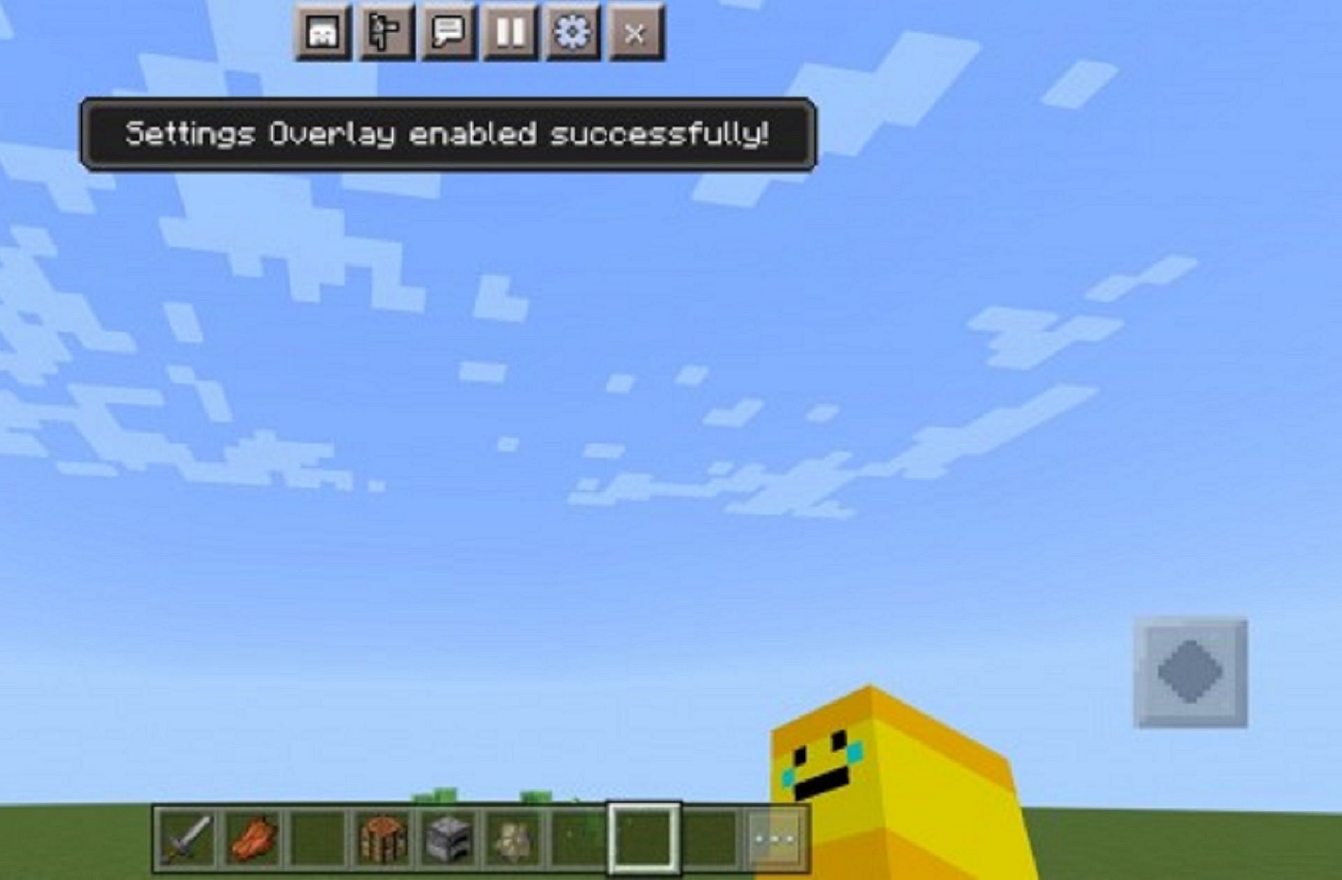 The settings overlay seen at the top of the screen (Image real_tlgm/Mcpedl)