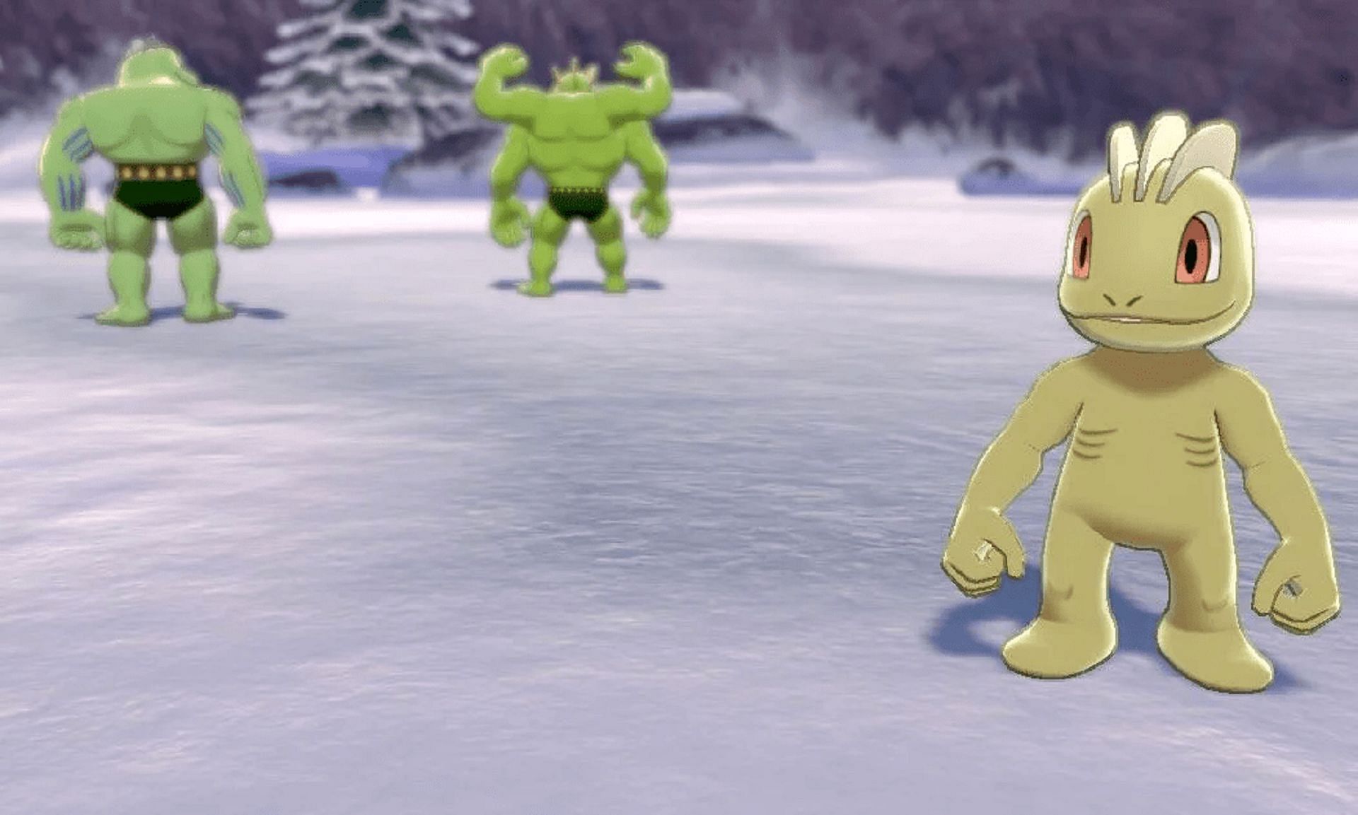 Shiny Machop, Machoke, and Machamp in Pokemon Sword and Shield (Image via The Pokemon Company)