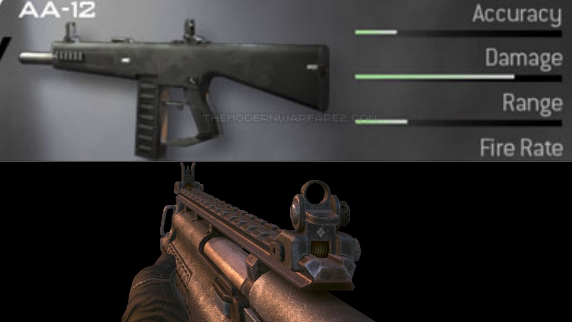 The AA-12 and KSG (Image via Activision)