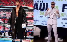 "I wouldn't get out of bed" - Tommy Fury responds to Jake Paul's new fight offer