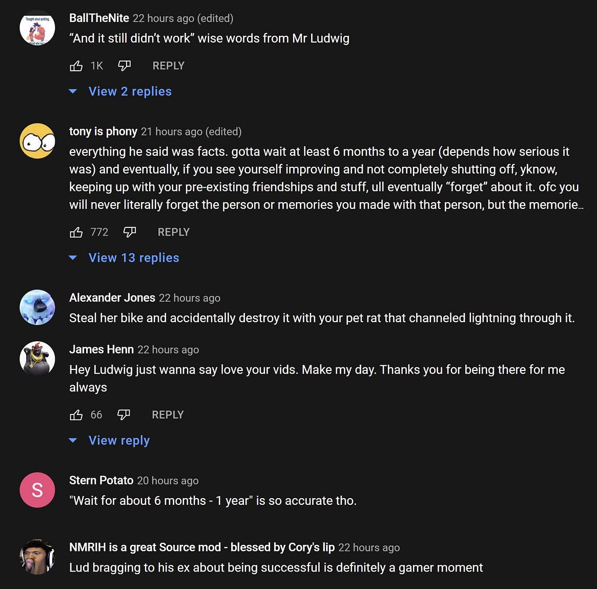 Fans in the YouTube comments section reacting to the streamer&#039;s advice (Images via Ludwin Clips/YouTube)