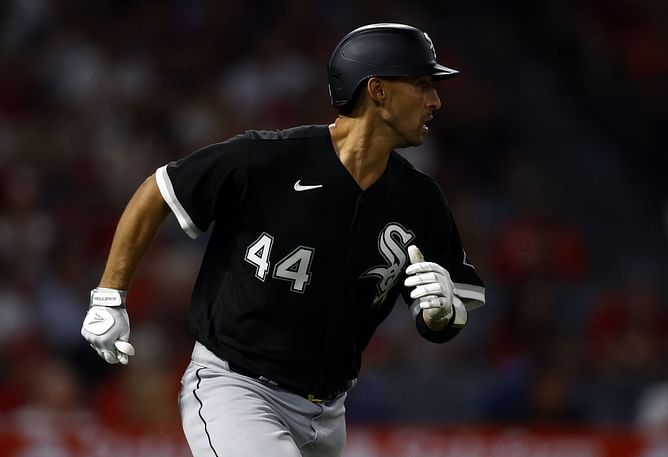Watch: Chicago White Sox catcher fearlessly crashes into the fence to send DH Franmil Reyes back to the dugout