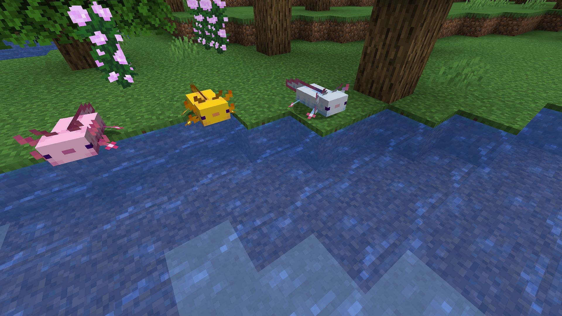 Some of the different colors of the axolotl (Image via Minecraft)