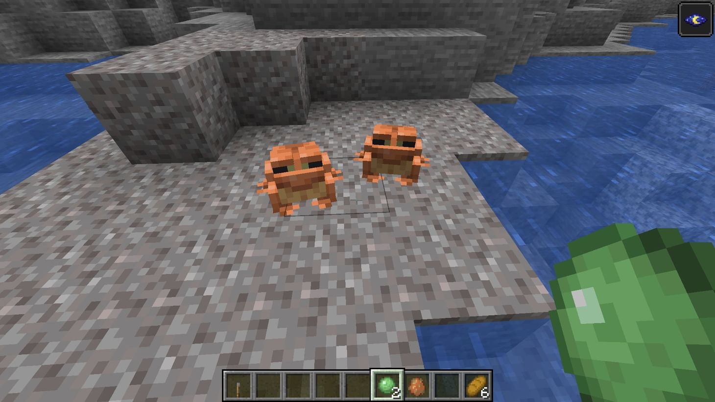 How to get tadpoles in Minecraft 1.19 update