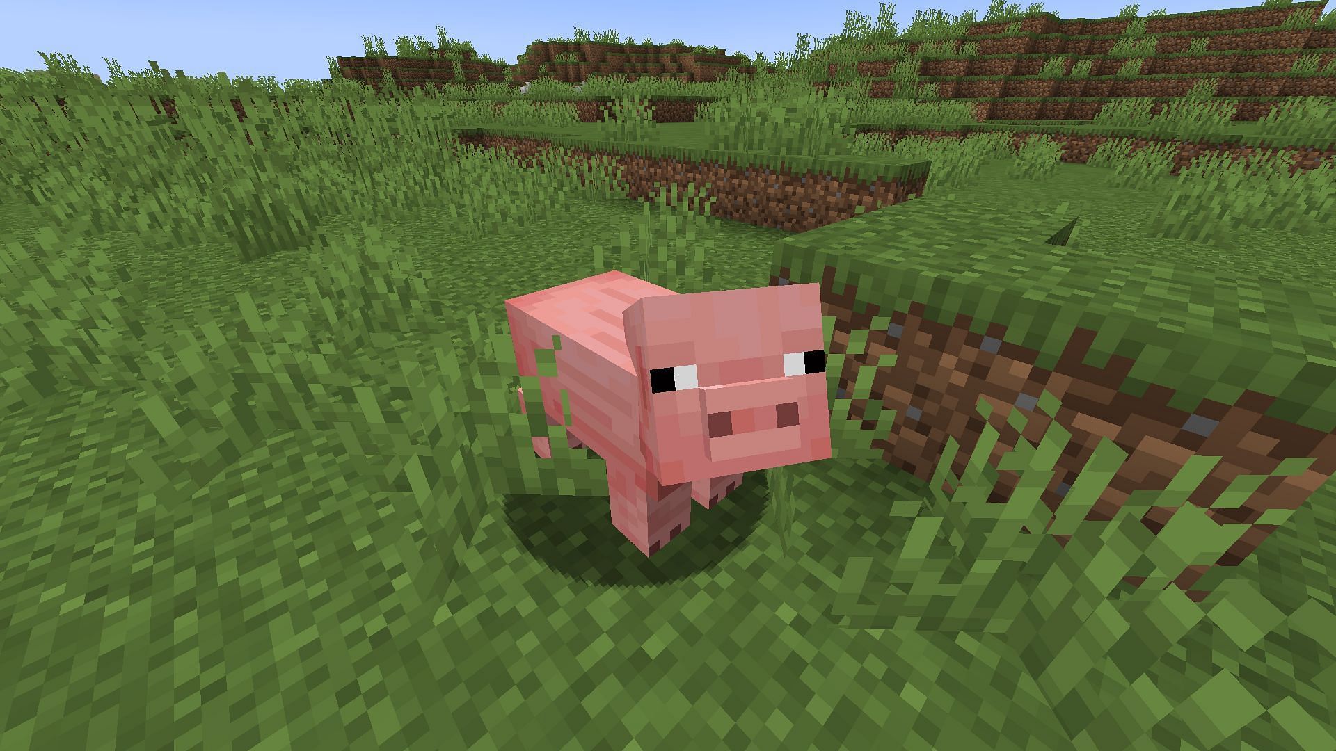 Pigs are most commonly found in plains biomes (Image via Minecraft 1.19 update)