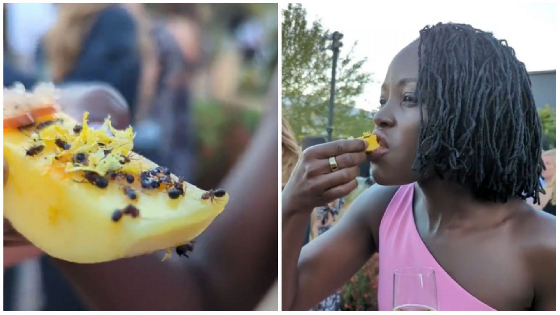 Lupita Nyong&#039;o ate fruit topped with ants at an Audi event (Image via @lupitanyongo/Instagram)