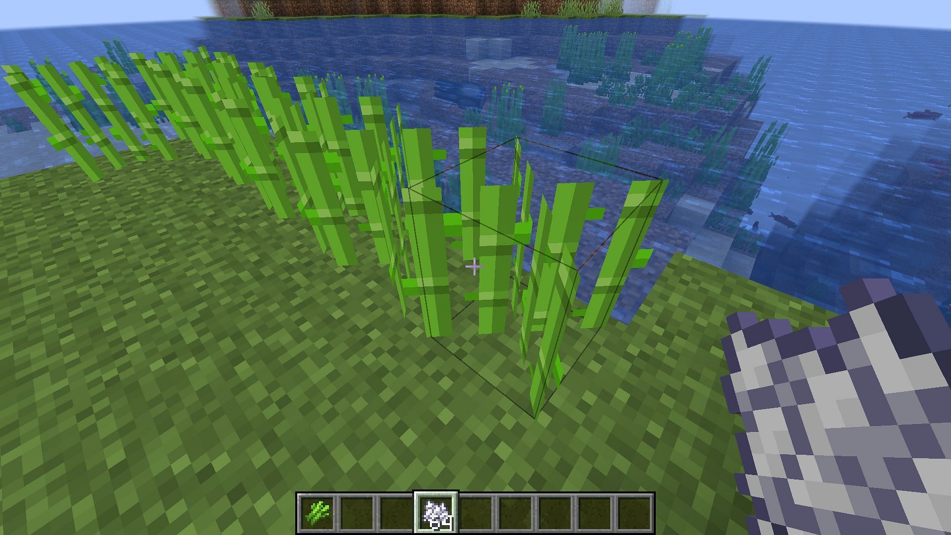 Bone meal does not work on these crops (Image via Minecraft 1.19 update)