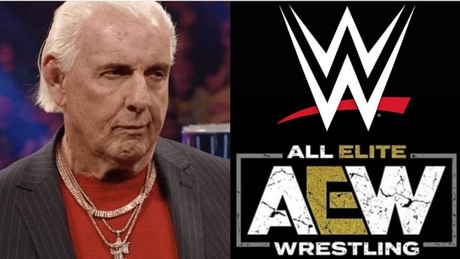 "WWE just brought you back" - Wrestling legend believes Ric Flair is sabotaging his legacy by bashing former AEW World Champion