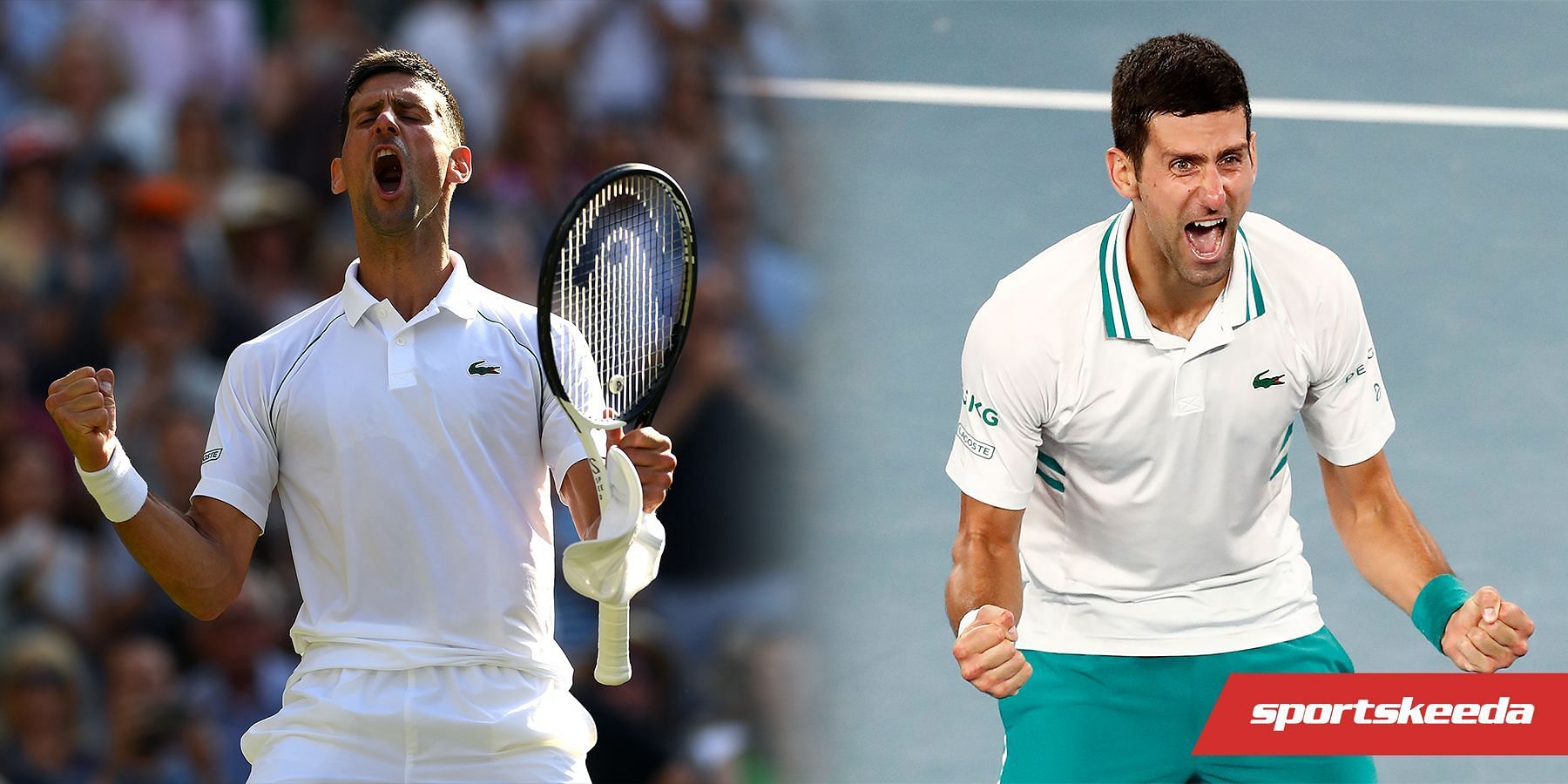 Novak Djokovic has reached his eighth Wimbledon final.