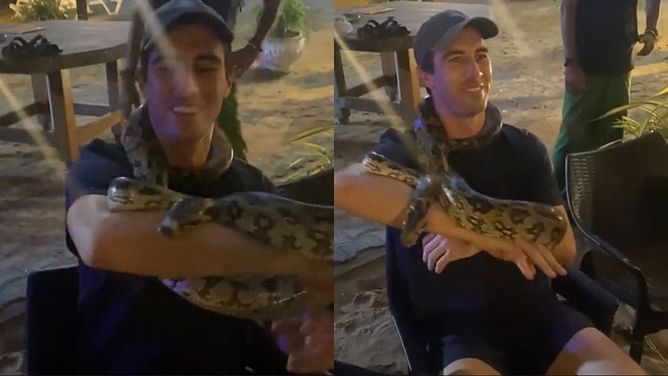 "Never seen snakes" - Pat Cummins shares video with a snake during his off-time in Sri Lanka
