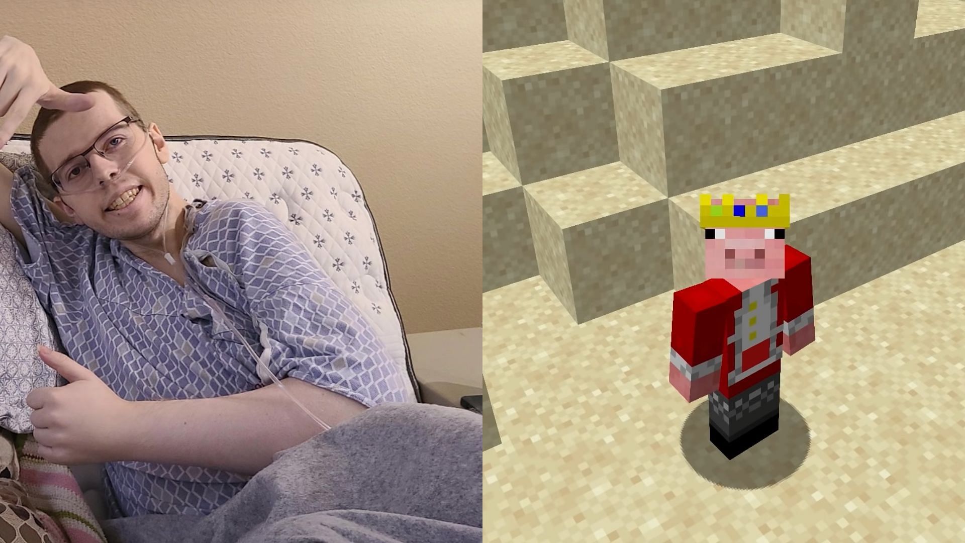 Minecraft r Technoblade reveals cancer diagnosis after mistaking arm  pain for stress injury from playing games